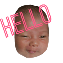 [LINEスタンプ] reina reina reina