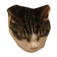 [LINEスタンプ] 眠たいんだ