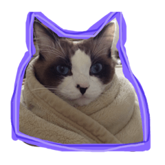[LINEスタンプ] マンディーとむーさん