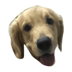 [LINEスタンプ] Cracker The Undog