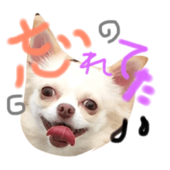 [LINEスタンプ] 可愛いいーちゃん