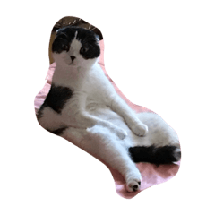 [LINEスタンプ] たまらんにゃ
