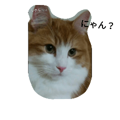 [LINEスタンプ] jeankun