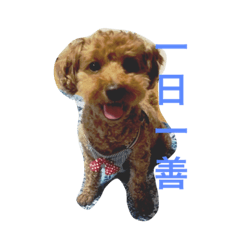 [LINEスタンプ] まろんちゅわん