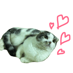 [LINEスタンプ] ムサシとほまれ