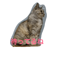 [LINEスタンプ] miru-ki-stamp