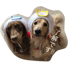 [LINEスタンプ] りおとチョコ