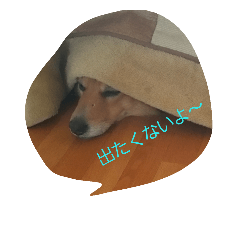 [LINEスタンプ] 日常的？