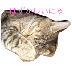 [LINEスタンプ] メイちゃんのスタンプ。