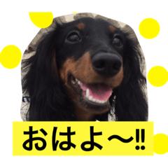 [LINEスタンプ] kojirou ＆ yume