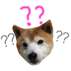 [LINEスタンプ] あぁおとんとん