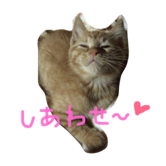 [LINEスタンプ] 高嶺のうにさん