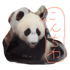 [LINEスタンプ] Good Mo