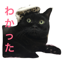[LINEスタンプ] 黒猫くまごろう 3