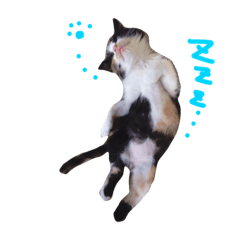 [LINEスタンプ] ハルジル