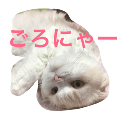 [LINEスタンプ] ごろーん