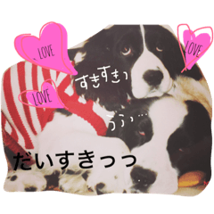 [LINEスタンプ] インディくんとときどきラスティさん