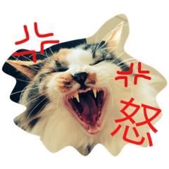 [LINEスタンプ] 銀とピノ♥