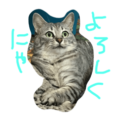[LINEスタンプ] キキジジ