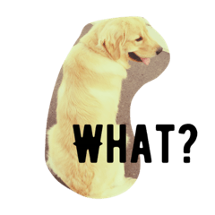 [LINEスタンプ] クー助くん