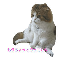[LINEスタンプ] おしゃべりアレン