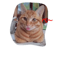 [LINEスタンプ] 動物日和