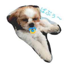 [LINEスタンプ] umiharu