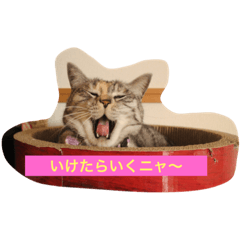 [LINEスタンプ] 宮城生まれのずんだちゃん