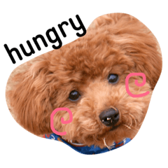 [LINEスタンプ] モカちゃんまん