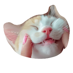 [LINEスタンプ] しま すず