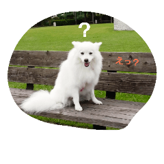 [LINEスタンプ] little limechan