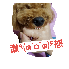 [LINEスタンプ] トイプー♡のあたん