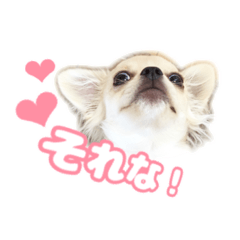[LINEスタンプ] ゆんたん2
