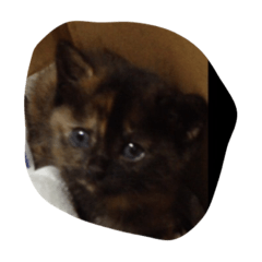 [LINEスタンプ] みんちゃんスタンプ②