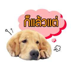 [LINEスタンプ] Dogorbear