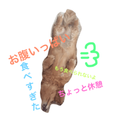 [LINEスタンプ] Feeling of DOG！