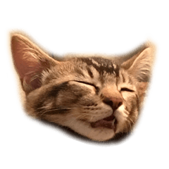 [LINEスタンプ] もん吉さん