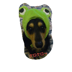 [LINEスタンプ] 我が家の、王子様。小太郎と力丸。