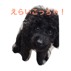 [LINEスタンプ] kuropu
