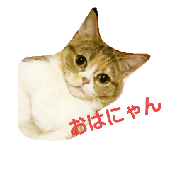 [LINEスタンプ] myunori