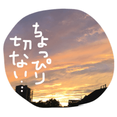 [LINEスタンプ] ひとこと写真