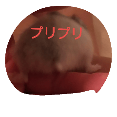 [LINEスタンプ] hamu2