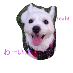[LINEスタンプ] ウェスティのメルシャン