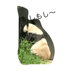 [LINEスタンプ] ぱんだの毎日