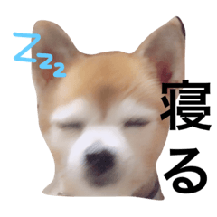 [LINEスタンプ] アトム日記