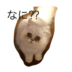 [LINEスタンプ] honey,vanilla,rum,ranmaru