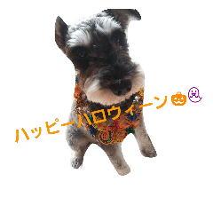 [LINEスタンプ] チョコ＆モカ