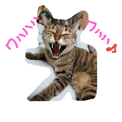 [LINEスタンプ] kenta no tubuyaki