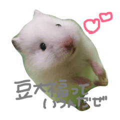 [LINEスタンプ] 福田豆大福です。