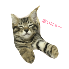 [LINEスタンプ] れおにゃんスタンプ